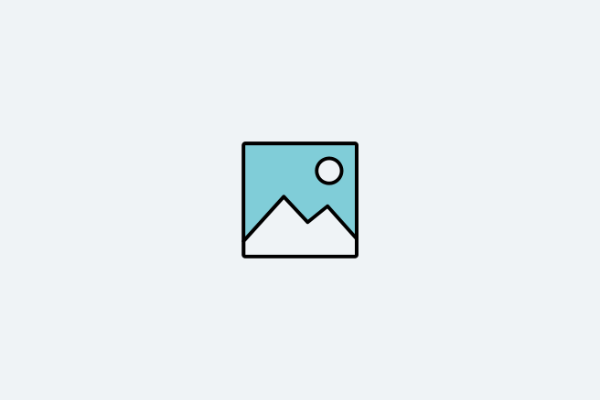 The New Layout 2024